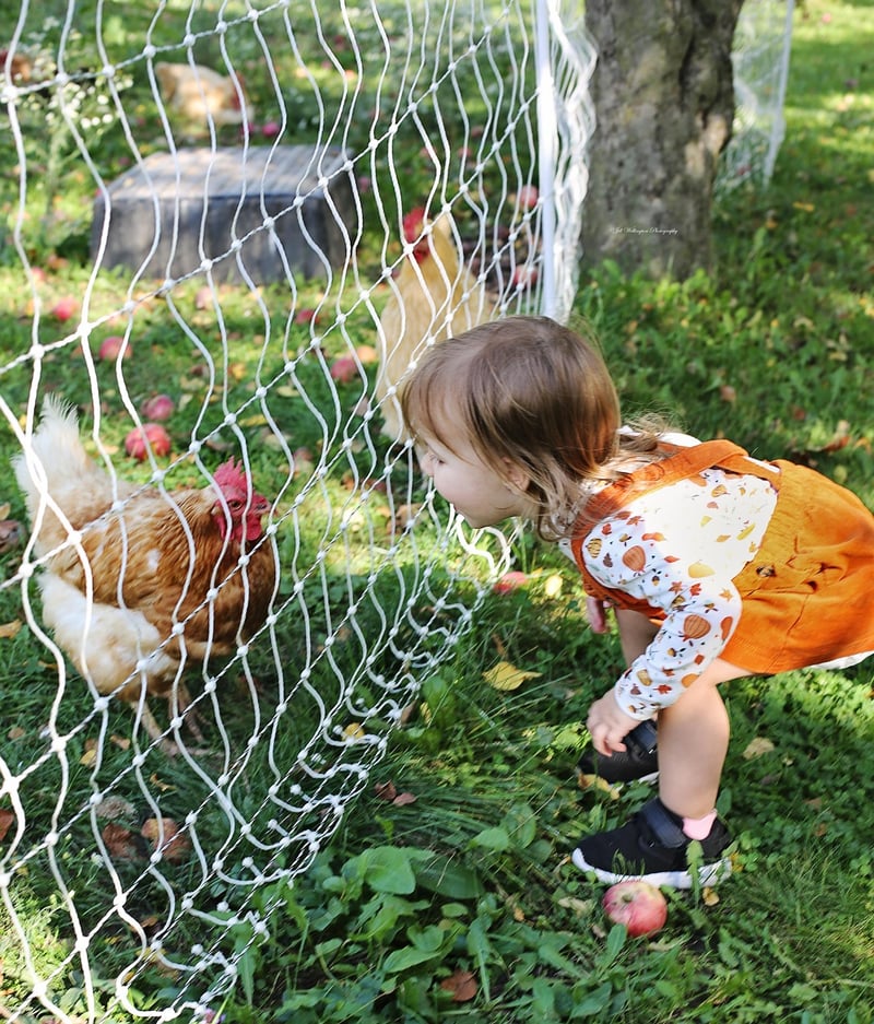 Farm-to-Table Visits